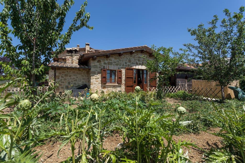 Bed and Breakfast Il Belvederino Brufa Exterior foto
